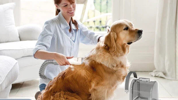 PAWS &amp; CLAWS™ CARE KIT