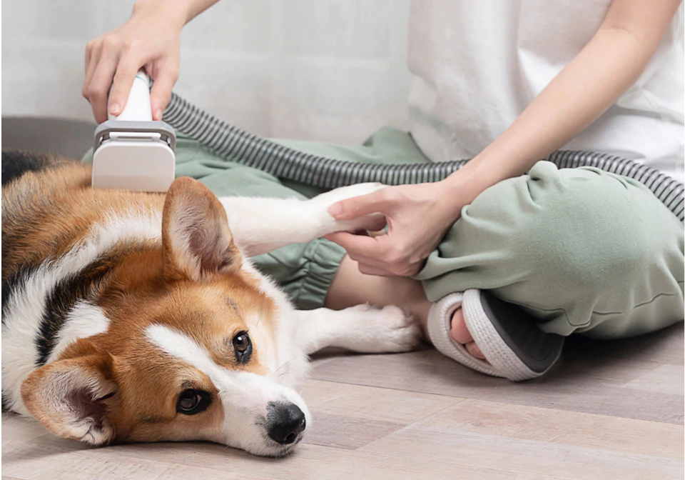 PAWS &amp; CLAWS™ CARE KIT