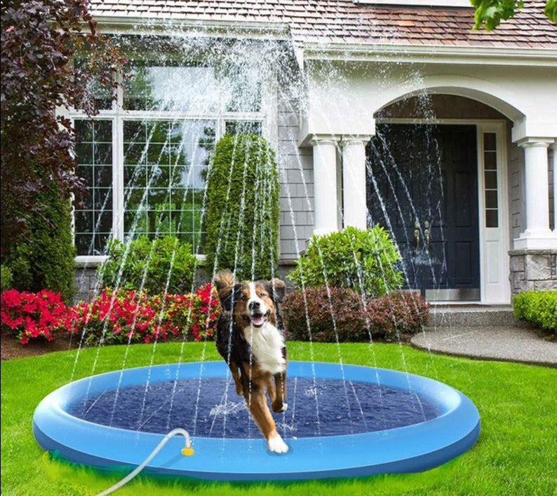 Swimming Pool for Large Dogs