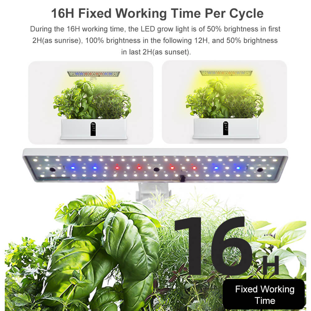 Growee™ Indoor Hydroponics System