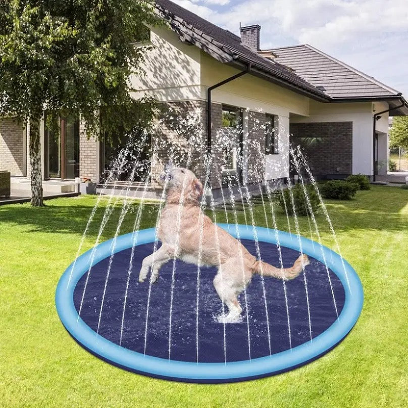 Double-ring Thickened Splash Water Mat for Dogs, Water Toys for Dogs –  Petsoft