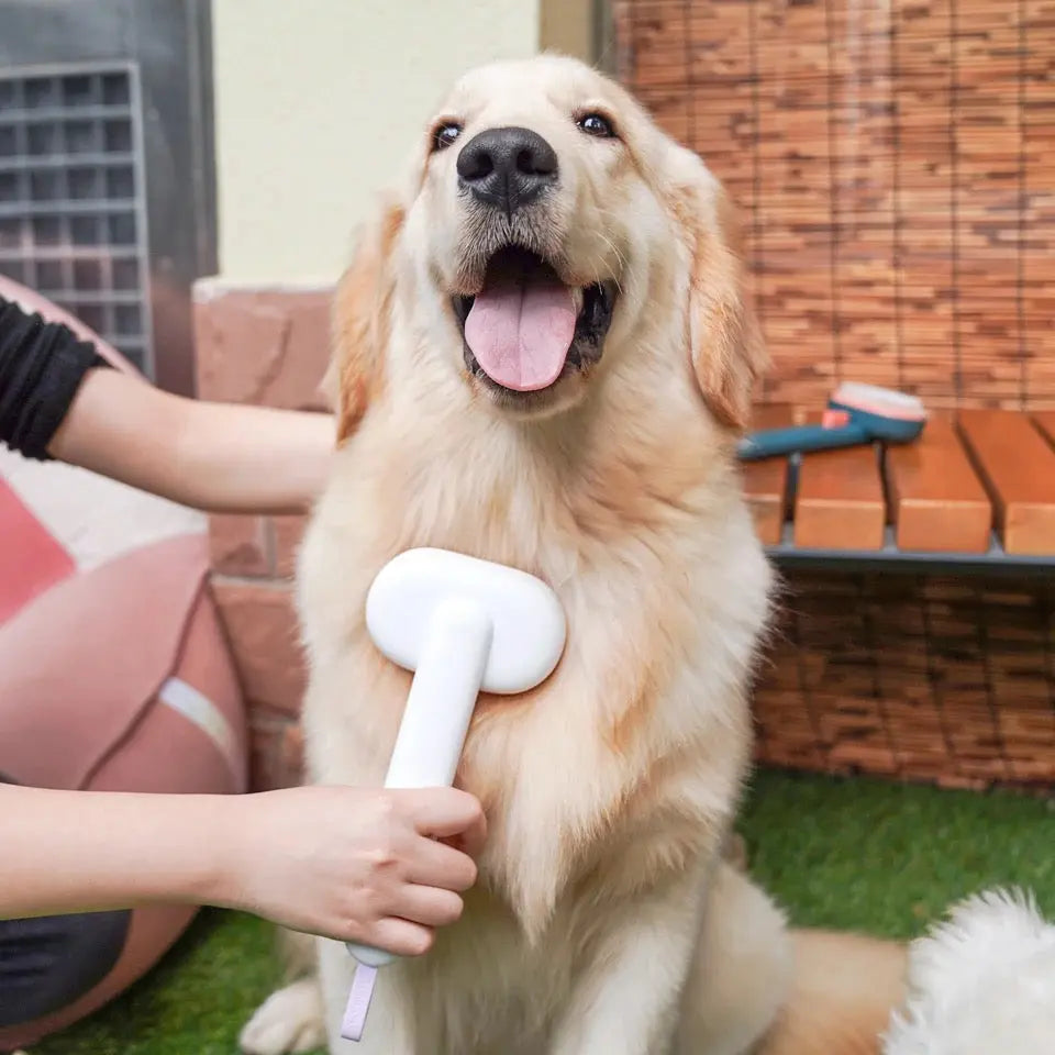 PawPure GroomGlide™.