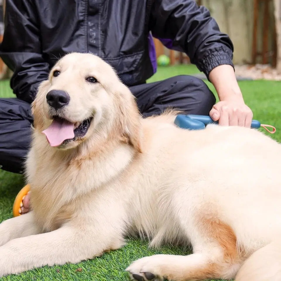 PawPure GroomGlide™.