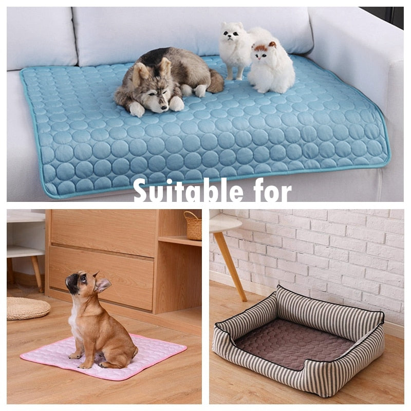 Paw Polus™ Cool Mat