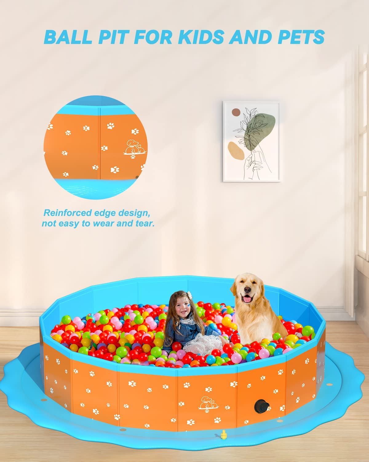 Swimming Pool for Large Dogs
