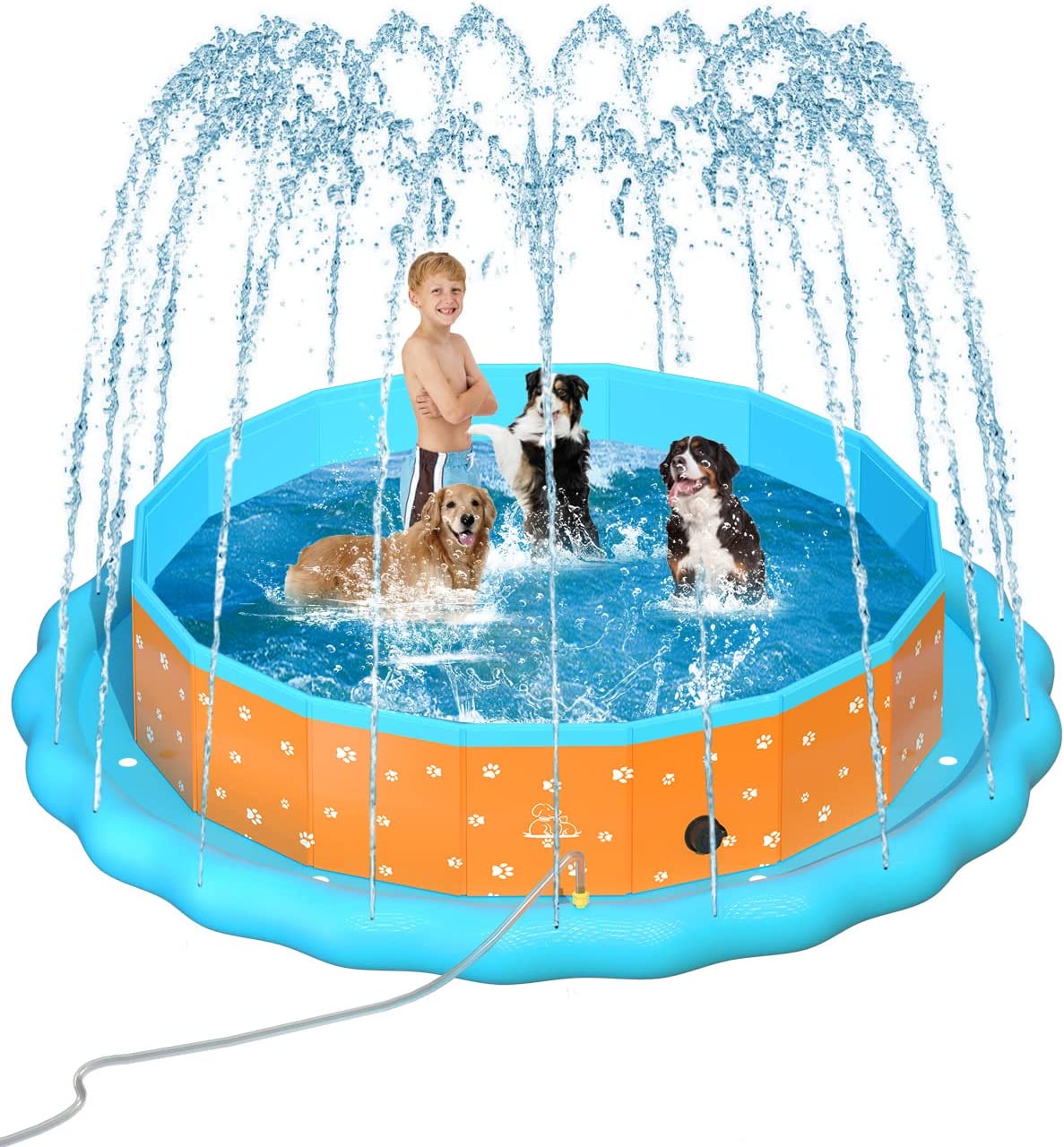 Swimming Pool for Large Dogs