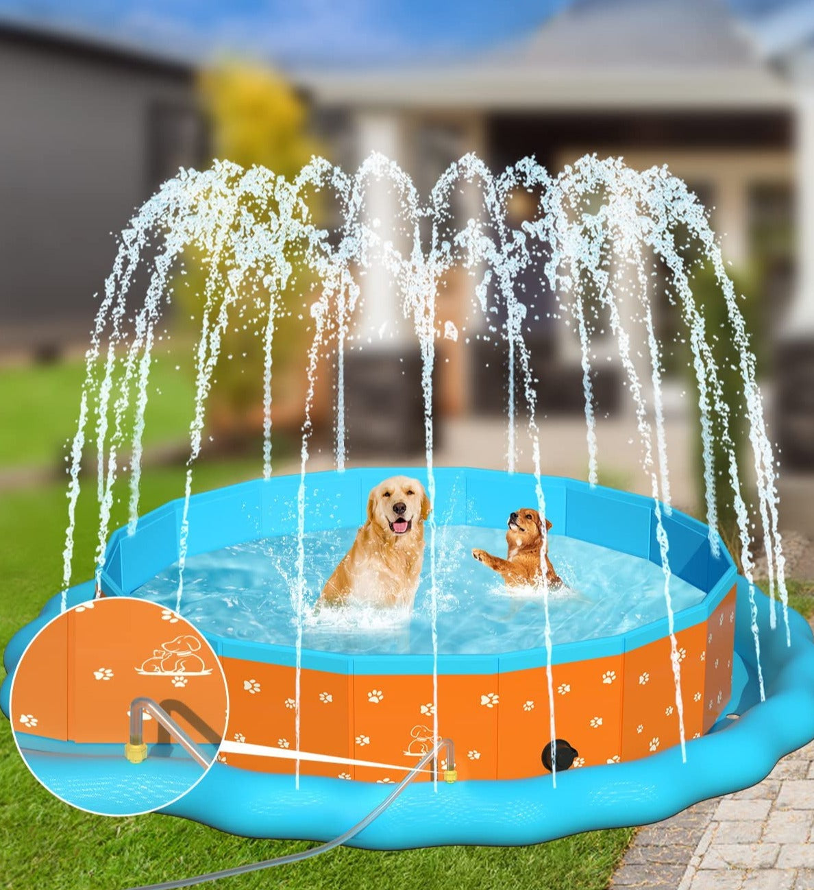 Puppy pool best sale with slide