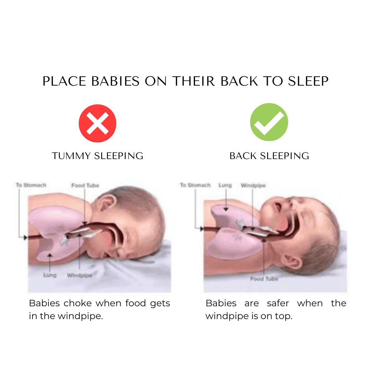 Lina Baby Support Pillow - ? Buy 1 Get 1 Free